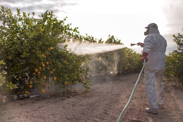 Best Cockroach Control Services  in Lower Burrell, PA