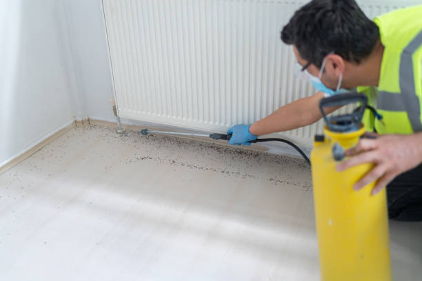 Best Pest Control Near Me in Lower Burrell, PA