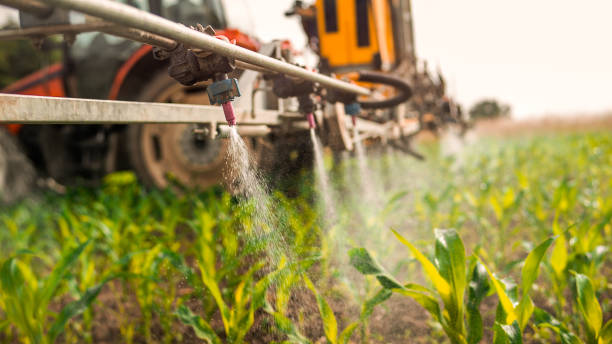 Pest Prevention Services in Lower Burrell, PA